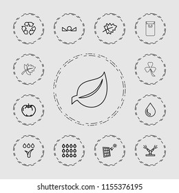 Eco icon. collection of 13 eco outline icons such as leaf, apple, recycle, arrow up, watering system, drop, solar panel, clover. editable eco icons for web and mobile.