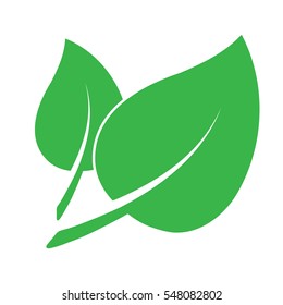 Eco icon with double green leaf. Isolated in flat style