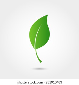 Eco icon with green leaf