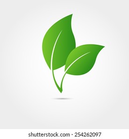 Eco icon with green leaf