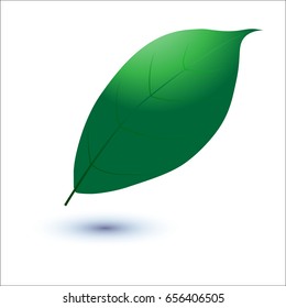 Eco icon with Green leaf.