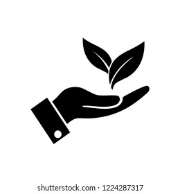 Eco icon green leaf , logo on white background