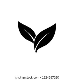 Eco icon green leaf , logo on white background