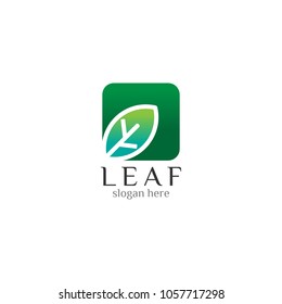 Eco icon green leaf icon organic vector illustration design template with white background
