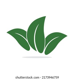 Eco icon with green leaf and shadow. Isolated on white background.
