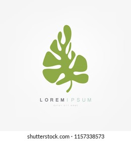 Eco icon. Green leaf. Vector illustration isolated on white background