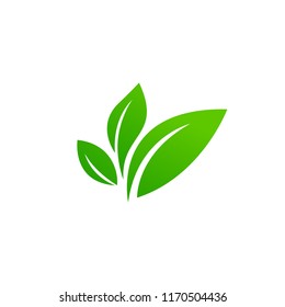 Eco icon green leaf vector illustration isolated. - Shutterstock ID 1170504436