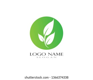 Eco icon green leaf vector illustration isolated. - Vector