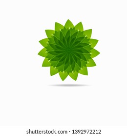 Eco icon green leaf vector illustration isolated