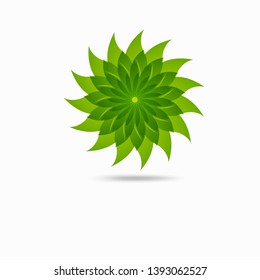 Eco icon green leaf vector illustration isolated