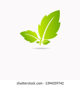 Eco icon green leaf vector illustration isolated