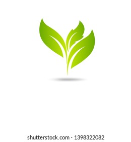 Eco icon green leaf vector illustration isolated
