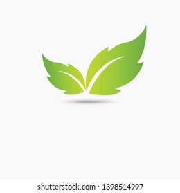 Eco icon green leaf vector illustration isolated