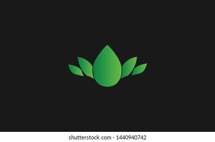 Eco icon green leaf vector illustration logo template