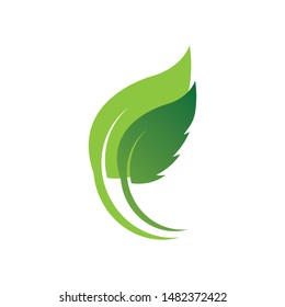Eco icon green leaf vector illustration isolated. - Vector