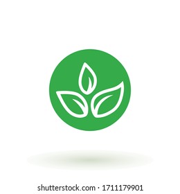 Icono ecológico Ilustración vectorial de hoja verde aislada.