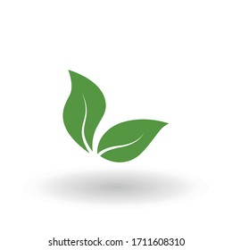 Eco icon green leaf vector illustration isolated.