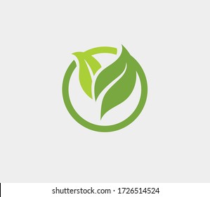 Eco icon green leaf vector illustration