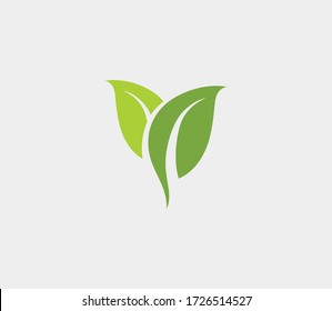 Eco icon green leaf vector illustration