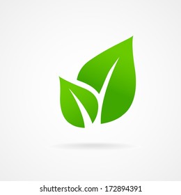 Eco icon green leaf vector illustration isolated