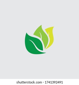 Eco icon green leaf vector illustration
