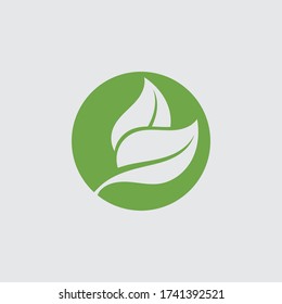 Eco icon green leaf vector illustration