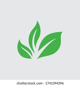Icono ecológico ilustración vectorial de la hoja verde