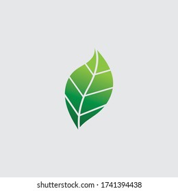 Eco icon green leaf vector illustration