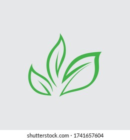 Eco icon green leaf vector illustration