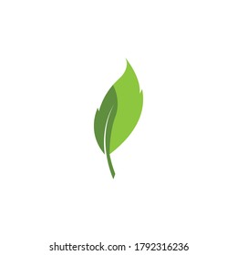 Icono ecológico ilustración vectorial de hoja verde aislada. - Vector