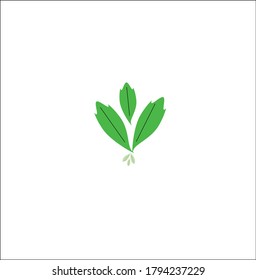 Eco icon green leaf vector. Emblem, leafs.