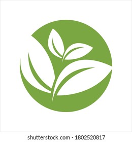 Icono ecológico ilustración vectorial de la hoja verde