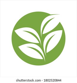 Eco icon green leaf vector illustration