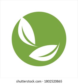 Eco icon green leaf vector illustration