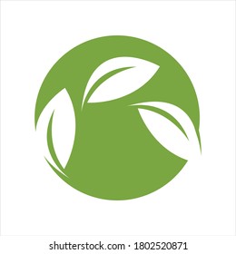 Eco icon green leaf vector illustration