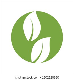 Eco icon green leaf vector illustration