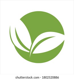 Eco icon green leaf vector illustration