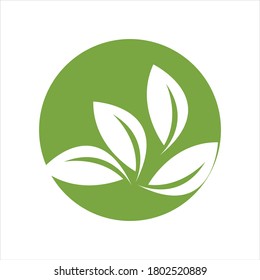 Eco icon green leaf vector illustration