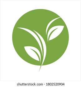 Eco icon green leaf vector illustration