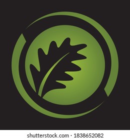 Eco icon green leaf vector illustration isolated