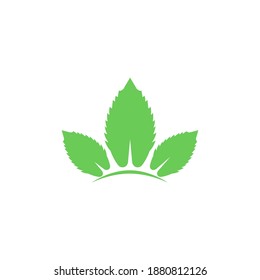 Eco icon green leaf vector illustration isolated on white background.