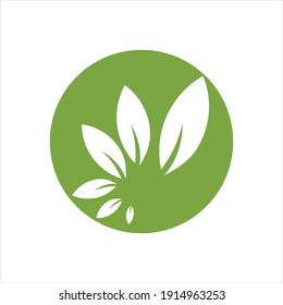 Eco icon green leaf vector illustration