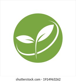 Eco icon green leaf vector illustration