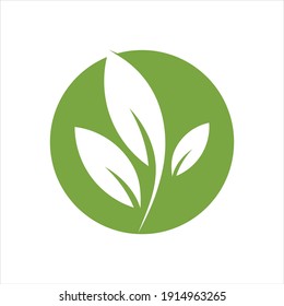 Eco icon green leaf vector illustration