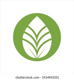 Eco icon green leaf vector illustration