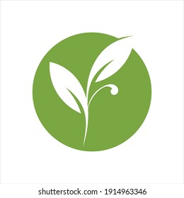 Eco icon green leaf vector illustration
