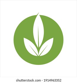 Eco-Icon, grünes Blatt, Vektorgrafik