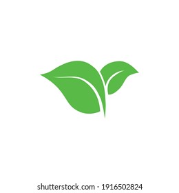 Eco icon green leaf vector illustration isolated. Green leaf sign.