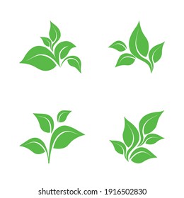 Eco icon green leaf vector illustration isolated. Green leaf sign.