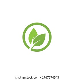 Eco icon green leaf vector illustration